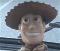 woody.jpg