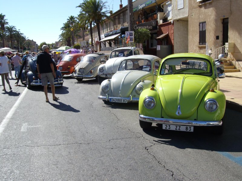 63_879-3-imgp7815