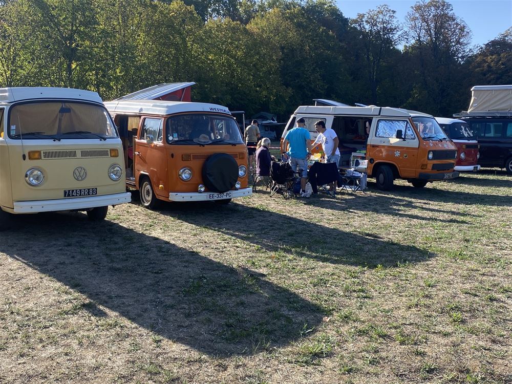 2491_vanlife-6